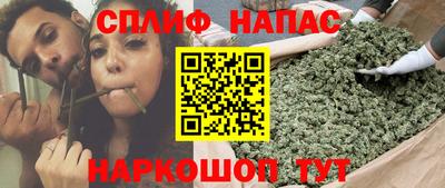 стафф Моздок