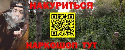 стафф Моздок