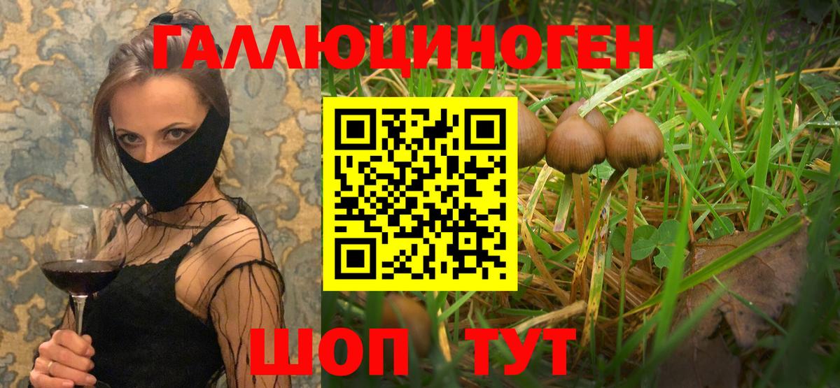 Галлюциногенные грибы Psilocybe  Псилоцибиновые грибы Cubensis  Вход с VPN  Шали 
